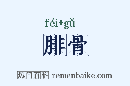 腓骨是什么意思的图片